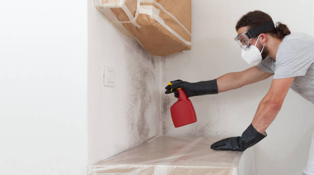 Professional Bathroom Mold Removal technician working in Bridgewater, VA