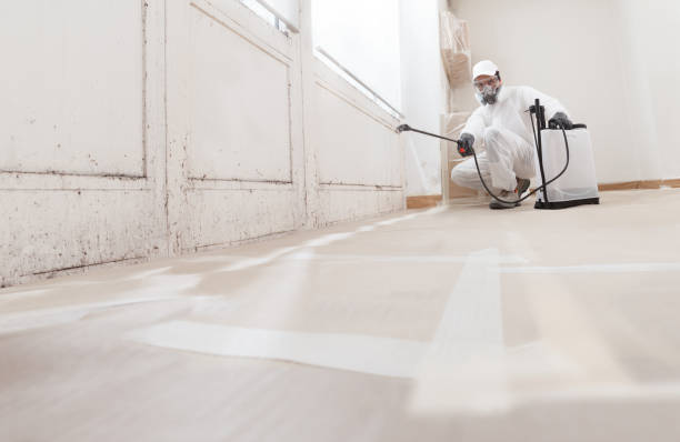 24/7 Emergency Bathroom Mold Removal experts in Bridgewater, VA